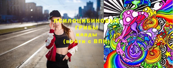 дурь Алексин
