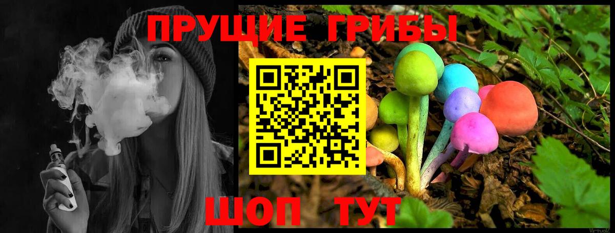 Кропоткин  Псилоцибиновые грибы прущие грибы  Вход с VPN 